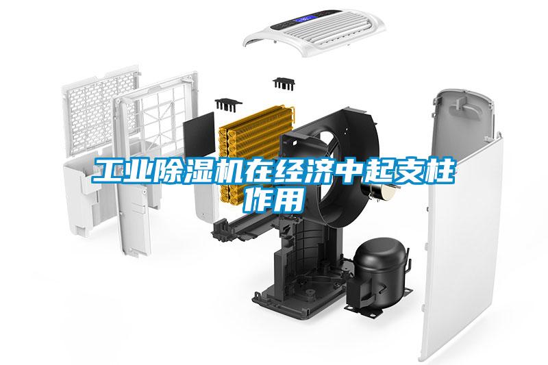 工業除濕機在經濟中起支柱作用