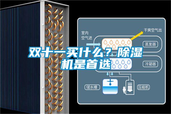 雙十一買什么？除濕機是首選