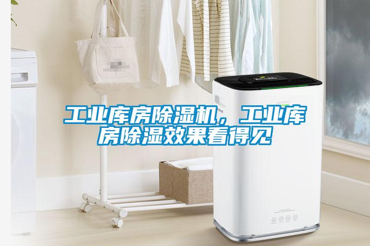 工業(yè)庫房除濕機(jī)，工業(yè)庫房除濕效果看得見