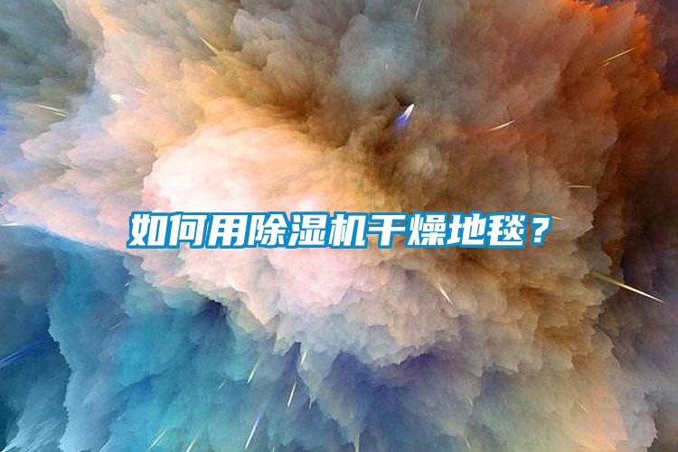 如何用除濕機(jī)干燥地毯？