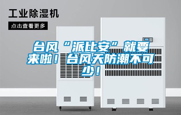 臺風“派比安”就要來啦！臺風天防潮不可少！