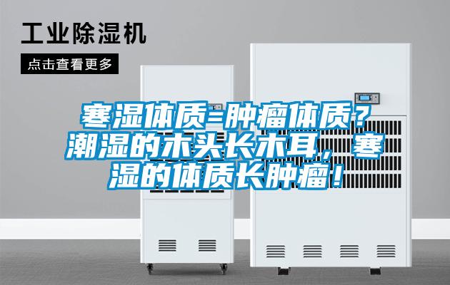 寒濕體質=腫瘤體質？潮濕的木頭長木耳，寒濕的體質長腫瘤！