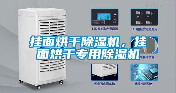 掛面烘干除濕機，掛面烘干專用除濕機