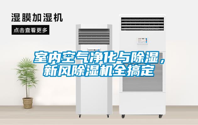 室內空氣凈化與除濕，新風除濕機全搞定