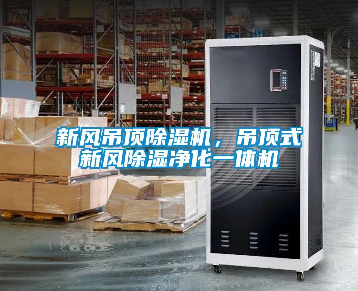 新風吊頂除濕機，吊頂式新風除濕凈化一體機