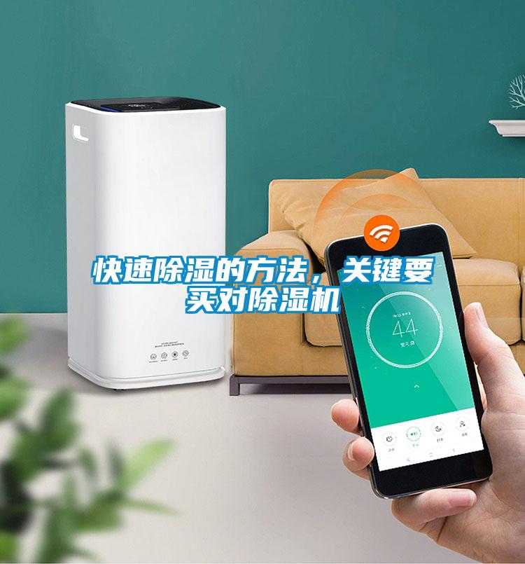 快速除濕的方法，關鍵要買對除濕機