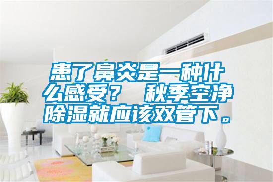 患了鼻炎是一種什么感受？ 秋季空凈除濕就應(yīng)該雙管下。