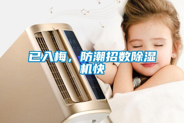 已入梅，防潮招數除濕機快