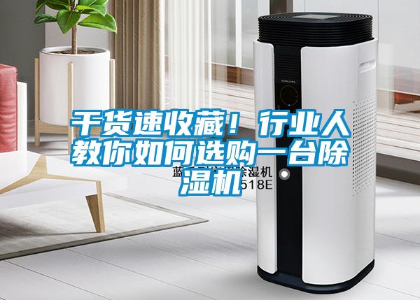 干貨速收藏！行業(yè)人教你如何選購一臺除濕機