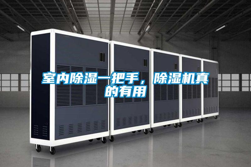 室內(nèi)除濕一把手，除濕機(jī)真的有用