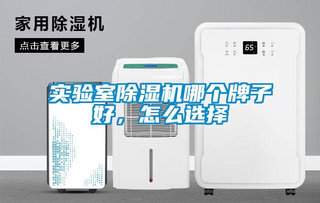 實驗室除濕機哪個牌子好，怎么選擇
