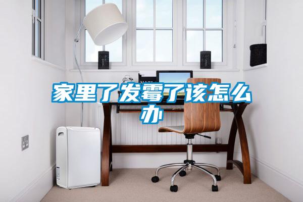 家里了發霉了該怎么辦