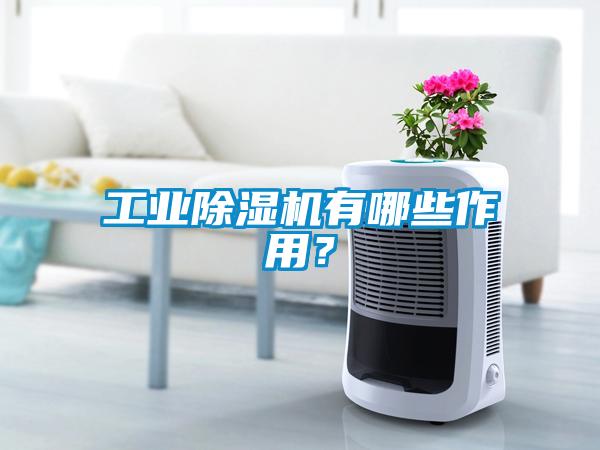 工業(yè)除濕機有哪些作用？