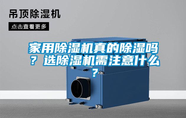 家用除濕機真的除濕嗎？選除濕機需注意什么？