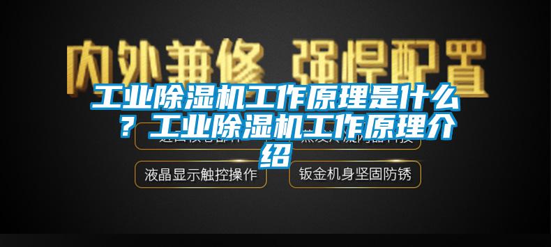 工業(yè)除濕機(jī)工作原理是什么 ？工業(yè)除濕機(jī)工作原理介紹