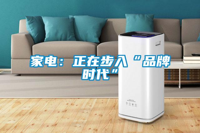 家電：正在步入“品牌時代”
