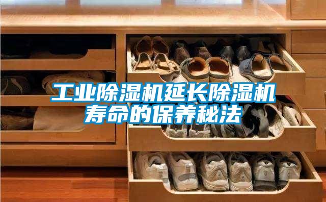 工業除濕機延長除濕機壽命的保養秘法