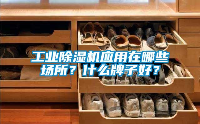 工業(yè)除濕機(jī)應(yīng)用在哪些場(chǎng)所？什么牌子好？