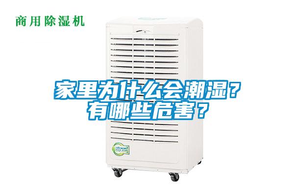 家里為什么會潮濕？有哪些危害？
