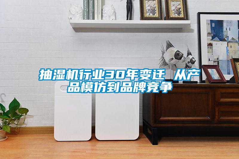 抽濕機行業(yè)30年變遷 從產品模仿到品牌競爭