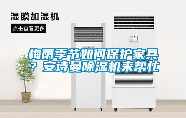 梅雨季節(jié)如何保護(hù)家具？安詩(shī)曼除濕機(jī)來(lái)幫忙