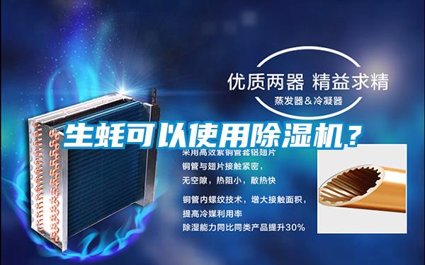 生蠔可以使用除濕機？