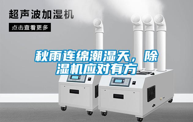 秋雨連綿潮濕天，除濕機應對有方