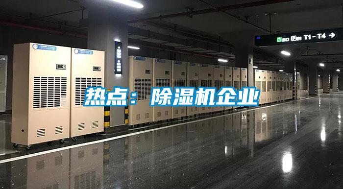熱點：除濕機企業