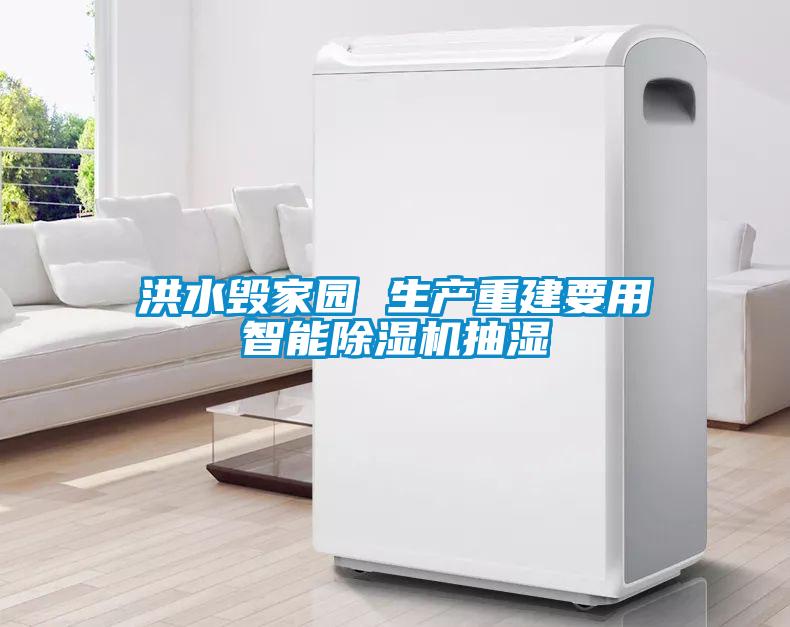 洪水毀家園 生產重建要用智能除濕機抽濕