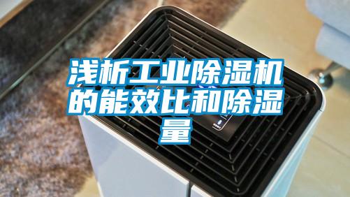 淺析工業(yè)除濕機的能效比和除濕量