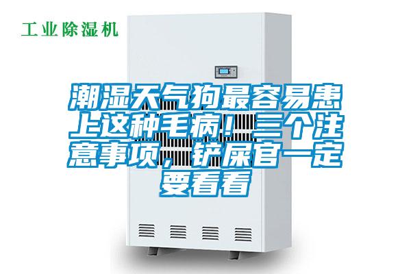 潮濕天氣狗最容易患上這種毛病！三個注意事項，鏟屎官一定要看看