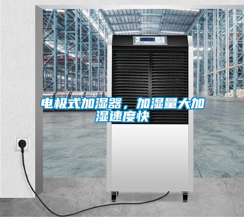 電極式加濕器，加濕量大加濕速度快