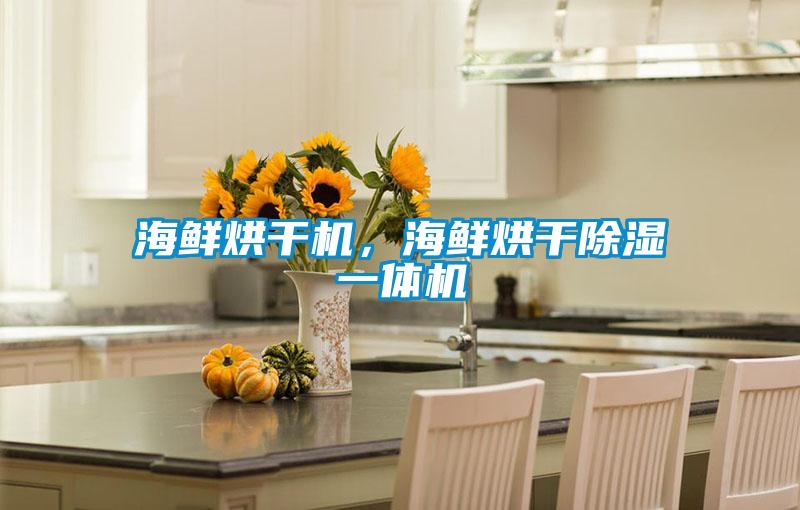 海鮮烘干機，海鮮烘干除濕一體機