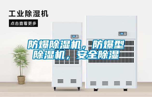 防爆除濕機，防爆型除濕機，安全除濕