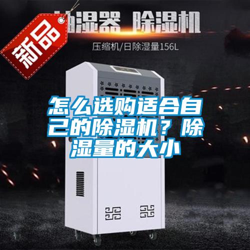 怎么選購(gòu)適合自己的除濕機(jī)？除濕量的大小