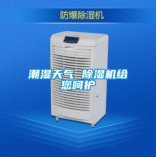 潮濕天氣 除濕機給您呵護