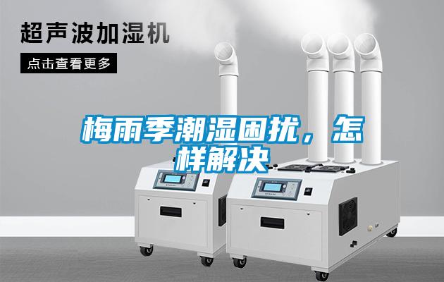 梅雨季潮濕困擾，怎樣解決