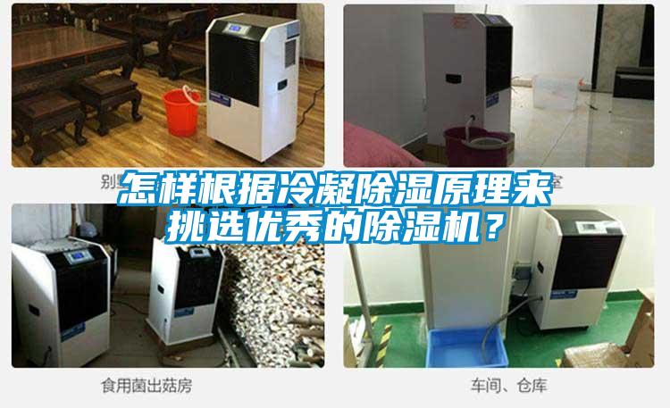 怎樣根據(jù)冷凝除濕原理來挑選優(yōu)秀的除濕機(jī)？