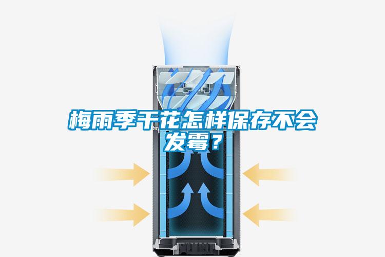 梅雨季干花怎樣保存不會發霉？