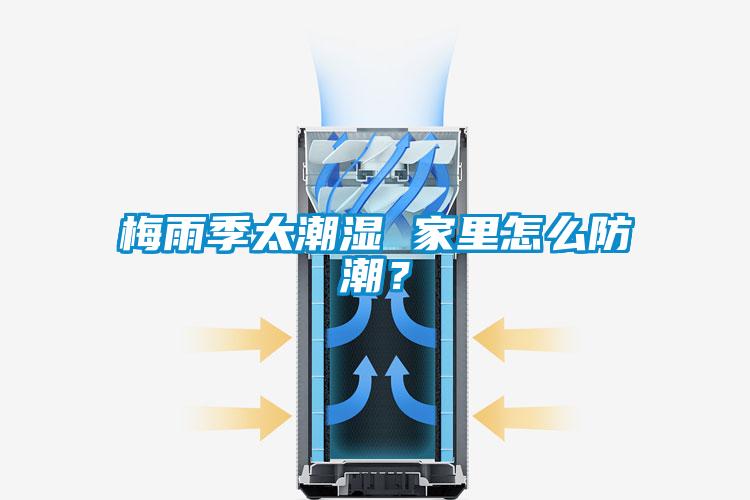 梅雨季太潮濕 家里怎么防潮？