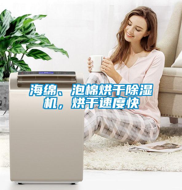 海綿、泡棉烘干除濕機，烘干速度快