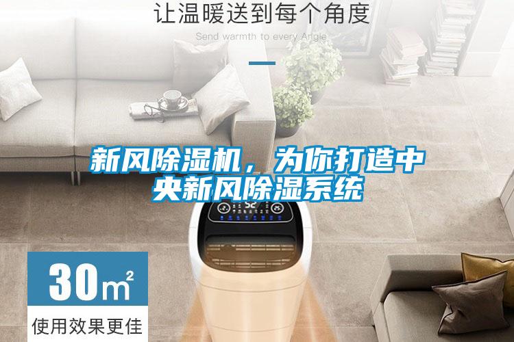新風(fēng)除濕機(jī)，為你打造中央新風(fēng)除濕系統(tǒng)