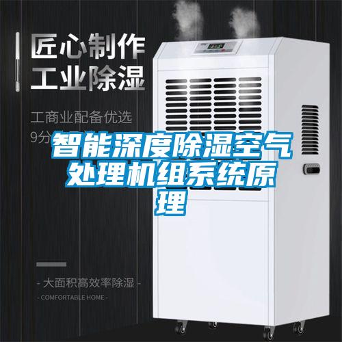 智能深度除濕空氣處理機組系統原理