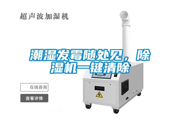 潮濕發霉隨處見，除濕機一鍵清除