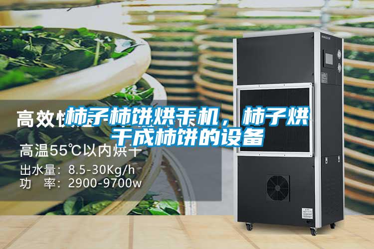 柿子柿餅烘干機(jī),柿子烘干成柿餅的設(shè)備