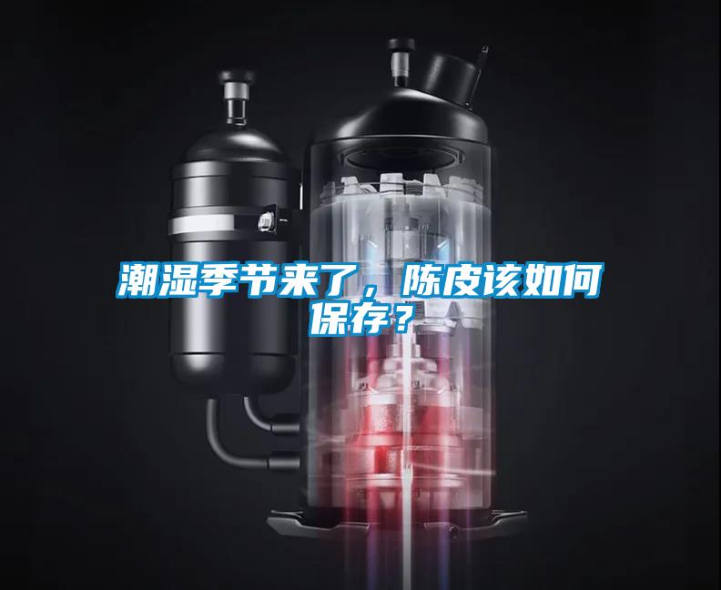 潮濕季節來了，陳皮該如何保存？