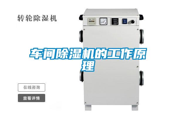 車間除濕機(jī)的工作原理