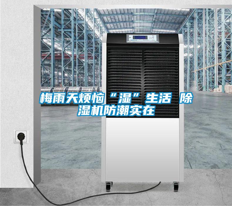 梅雨天煩惱“濕”生活 除濕機防潮實在