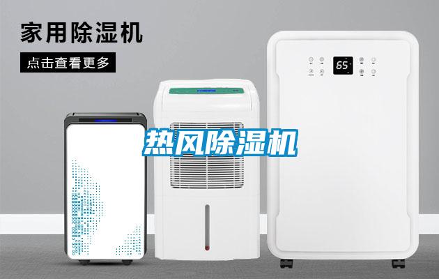 熱風(fēng)除濕機(jī)