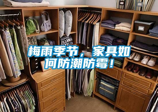 梅雨季節，家具如何防潮防霉！